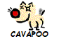 CAVAPOO