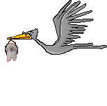 storkpoodle